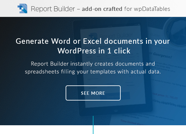 Report Builder es un generador de Word DOCX y Excel XLSX para WordPress