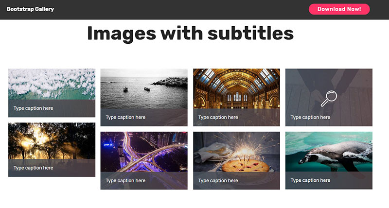 Css Image Gallery Examples That You Can Use On Your Site 8384