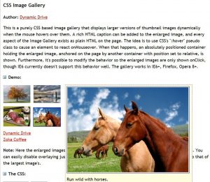 CSS Image Gallery Examples That You Can Use on Your Site