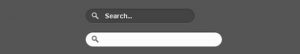 CSS-based HTML Search Box Designs to Spruce up Your Site Search