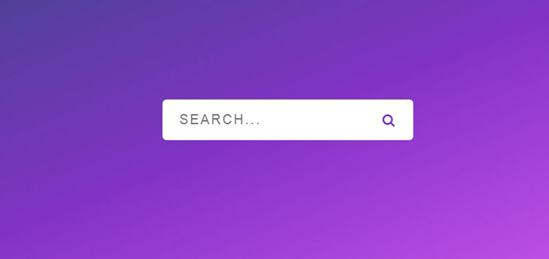 Search Bar In Html