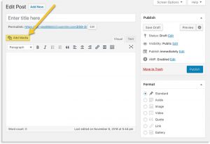 How to Embed a PDF in WordPress With and Without a Plugin