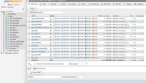 How to Do a WordPress Database Reset Properly