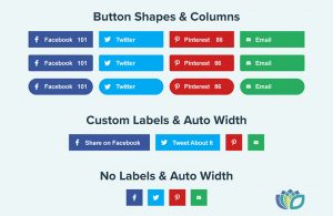 How to Add Social Media Icons to the WordPress Footer