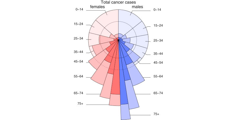 data representation pie chart