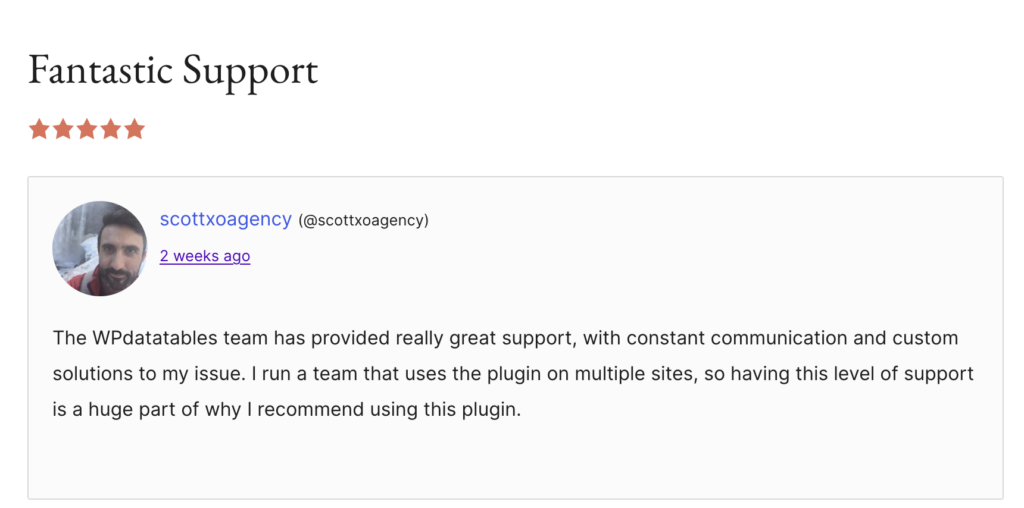 wpdatatables customer support feedback and praise useer review