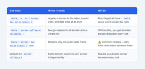 HTML Table Borders: The Complete Guide to Creating, Styling, and ...